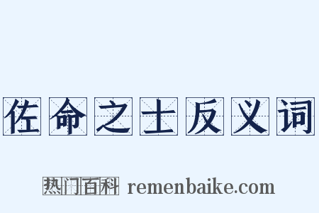 佐命之士反义词是什么意思的图片